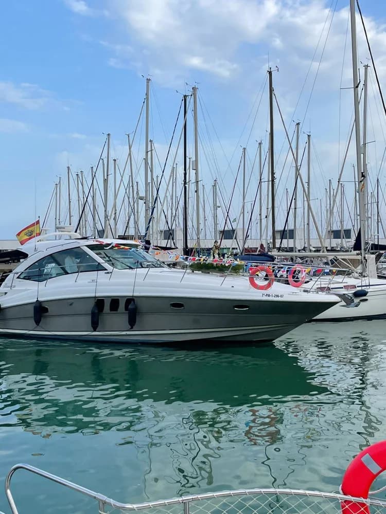 2007 Sea Ray 515 | 16m