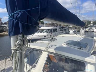 Westerly Konsort Duo 29 4