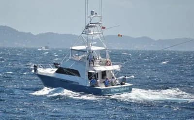 1989 Bertram 54 SPORT FISHERMAN | 16m 2
