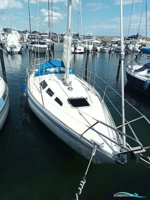 Trio 80 1981 2