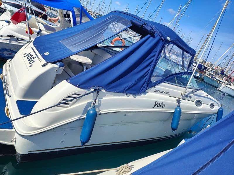 2001 Sea Ray Sundancer 260 | 8m