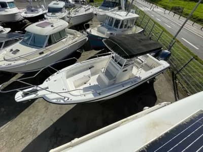Boston Whaler Outrage 260 2