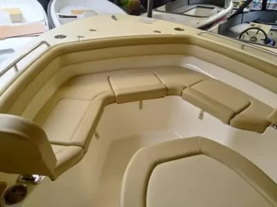 2020 Scout 215 XSF Boat for Sale in Lemmer 3