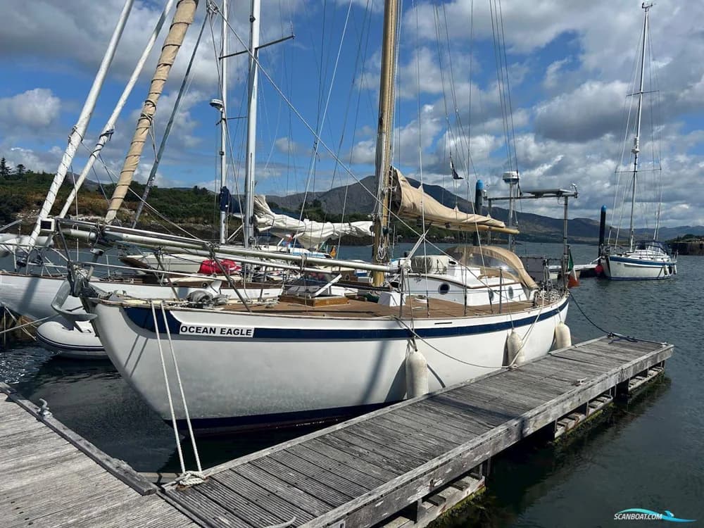 Tradewind 33