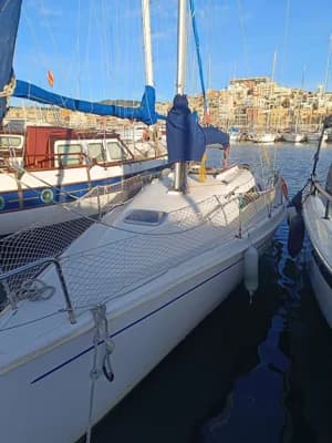 Astraea 260 Sprinter 2