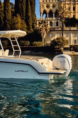 Capelli ALMA 27 2