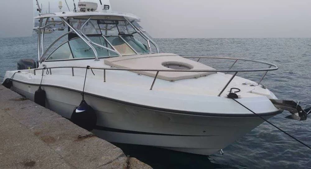 Hydra-Sports 2900 Vector VX
