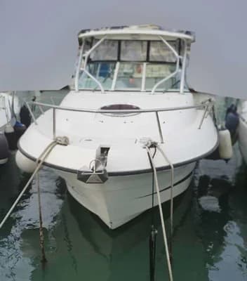 Hydra-Sports 2900 Vector VX 2