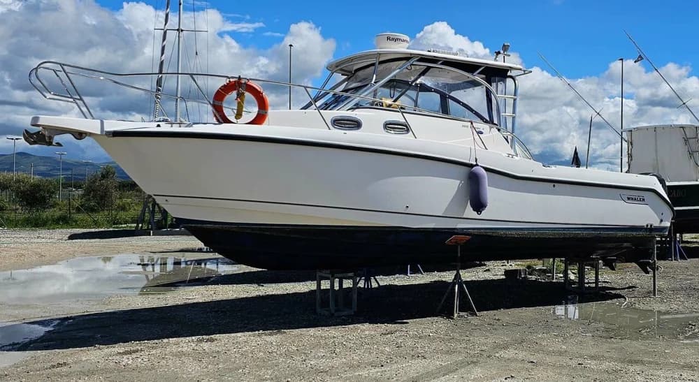 Boston Whaler Conquest 305