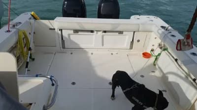 Boston Whaler Conquest 305 3