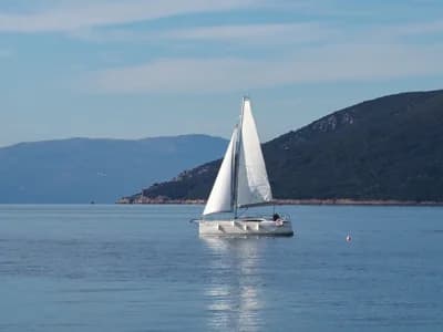 Viko S26 2