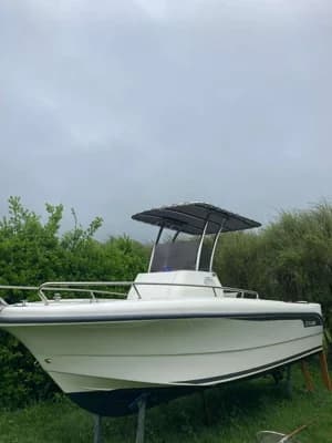 Ocqueteau 600 Ostrea T top 2