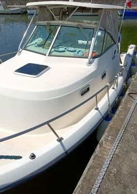 Pursuit 2870 WA 2