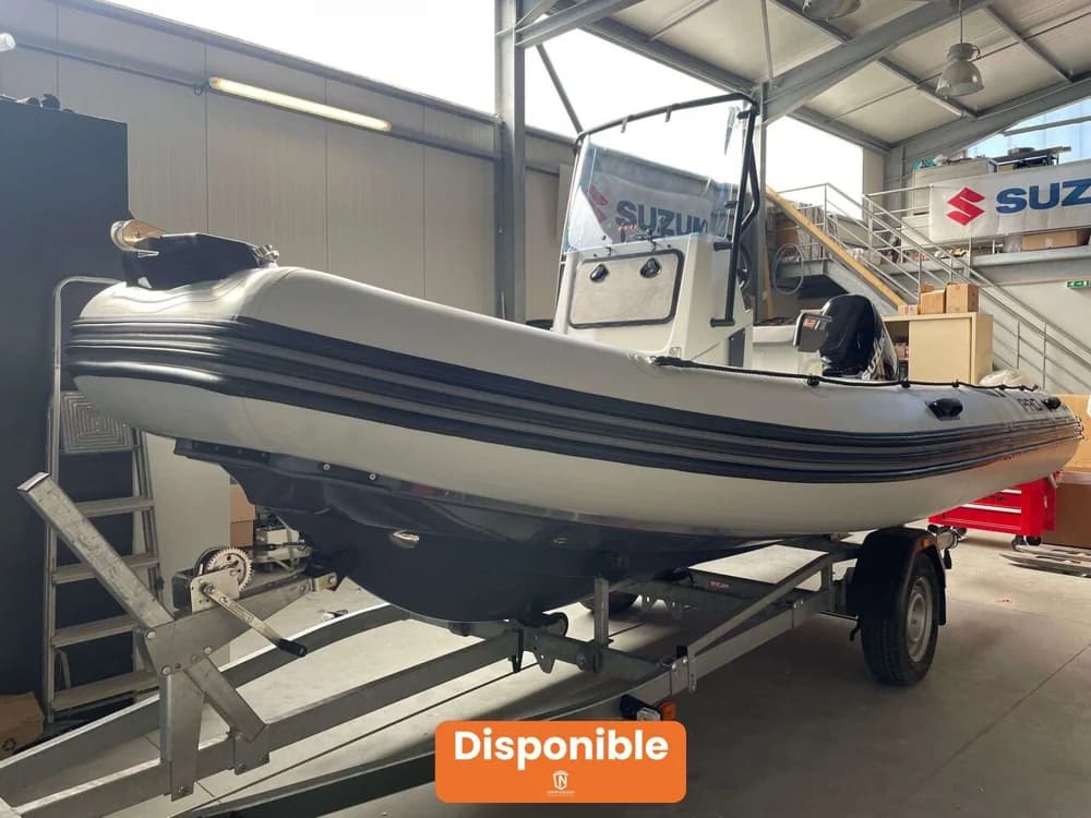 Zodiac PRO 550
