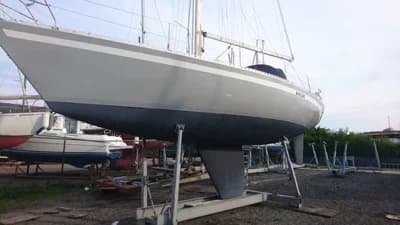 Dresport 37 Furia 2