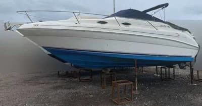 SEA RAY 240 2