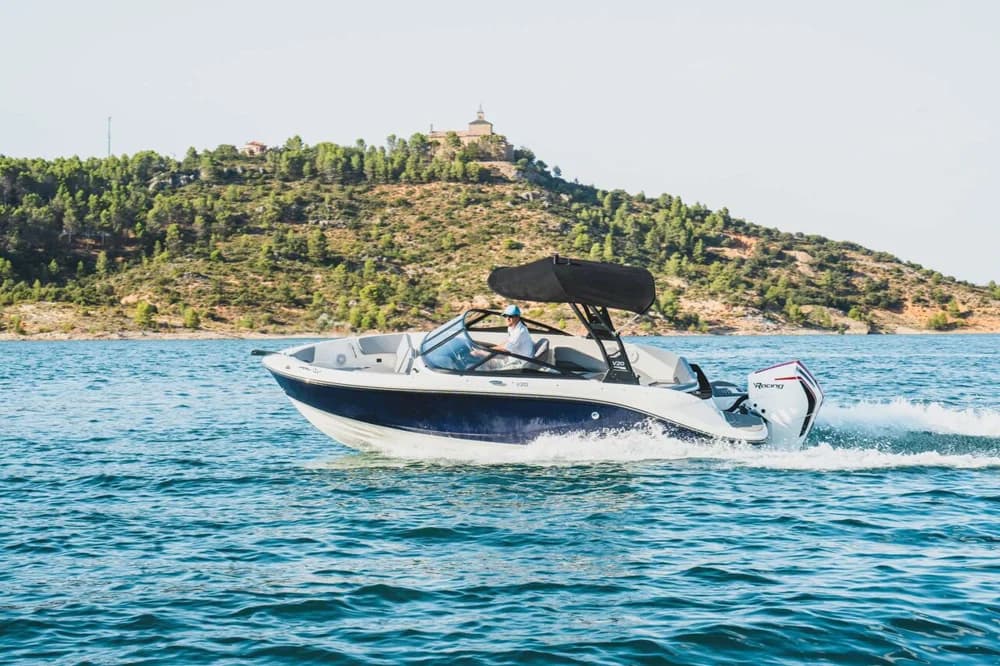 Bayliner V20