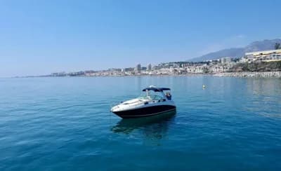 Sea Ray 355 Sundancer 2