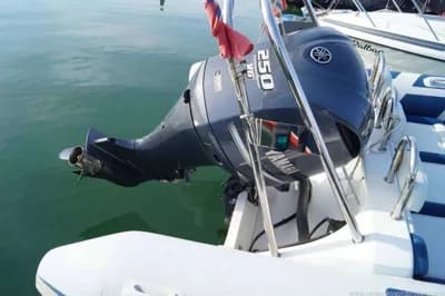 Ribeye 785 Sport 2