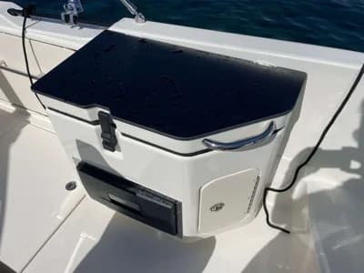 Quicksilver Activ 755 Sundeck 3