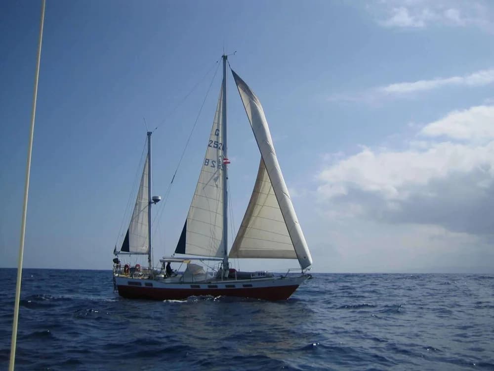 Wauquiez Amphitrite 43