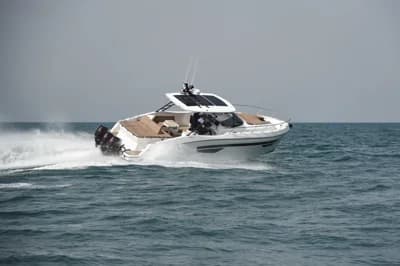 Oryx 379 2