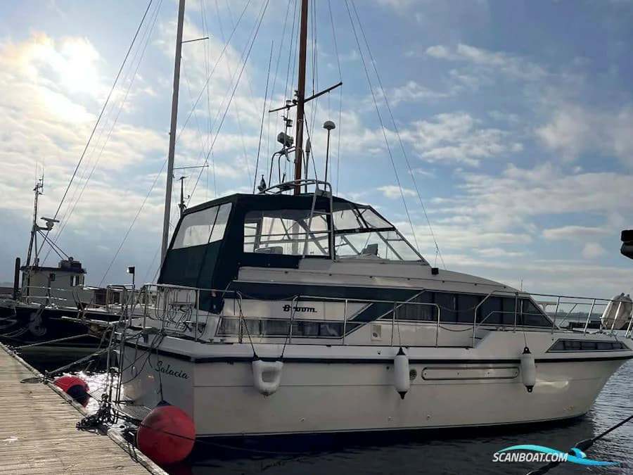 Broom 12M Monarch