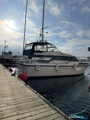 Broom 12M Monarch 2