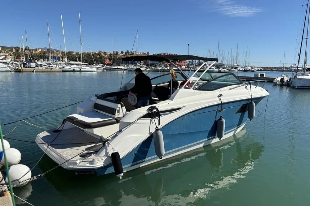 2017 Sea Ray Sundancer 320 | 10m