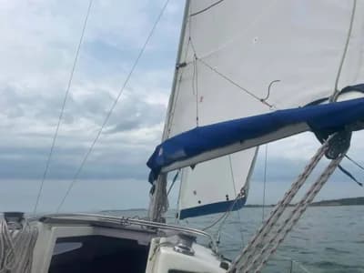1998 Jeanneau Sun Odyssey 24.2 Boat for Sale in Christchurch 3