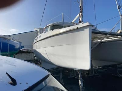 2007 Indigo AVENTURA 36 3