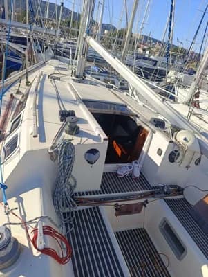 Jeanneau Sun Shine 36 2