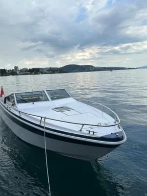 Gobbi 23 Offshore 3