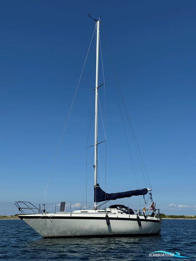 Granada 31