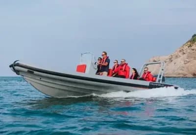 2025 Highfield Patrol 760 Boat for Sale in Axminster 4