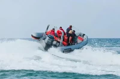 2025 Highfield Patrol 760 Boat for Sale in Axminster 5