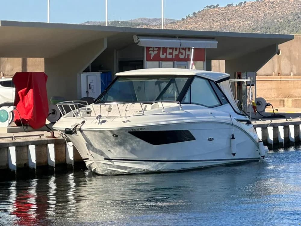 Sea Ray Sundancer 320 Coupe