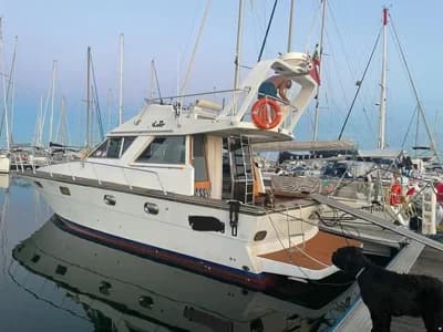 Ilver 38 FLY 2