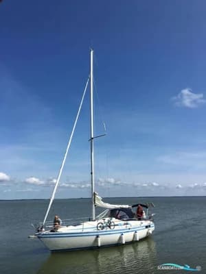 Scanmar 33 5