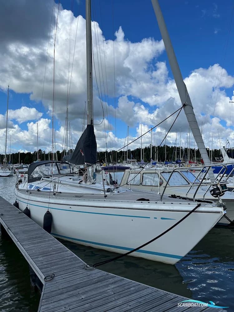 Bianca 36