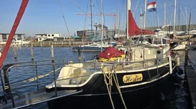 Colin Archer Bronsveen 14.70 3