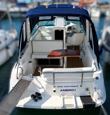 Wellcraft 2650 Martinique 2