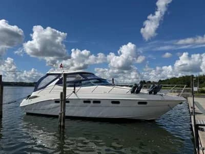 SEALINE S41 2