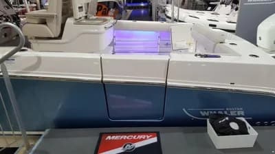 Boston Whaler 330 Outrage 4