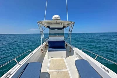 1984 Shamrock 260 Open 3