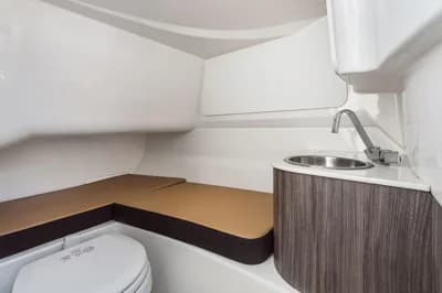 2026 Sea Ray SDX 250 Surf | 25.2 ft 3