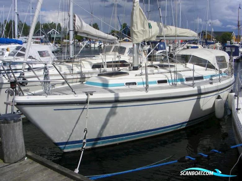 LM Mermaid 315