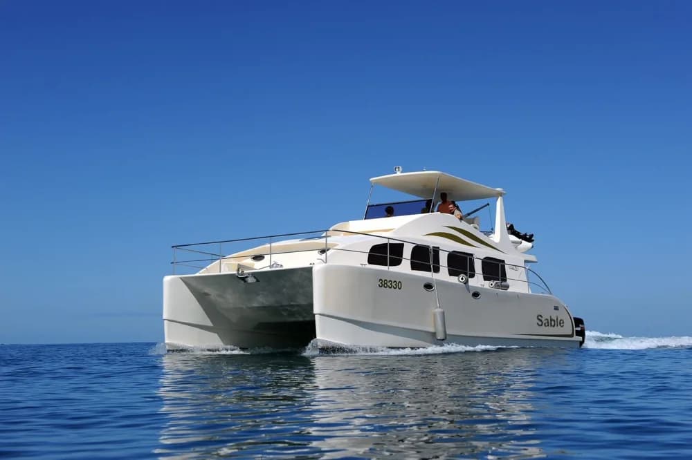 2009 Custom Evercat 39 | 12m