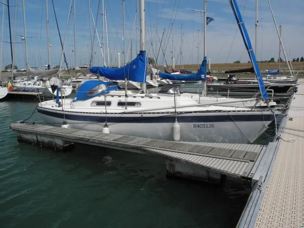 Spirit 29