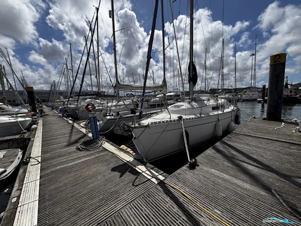 Hanse 311
